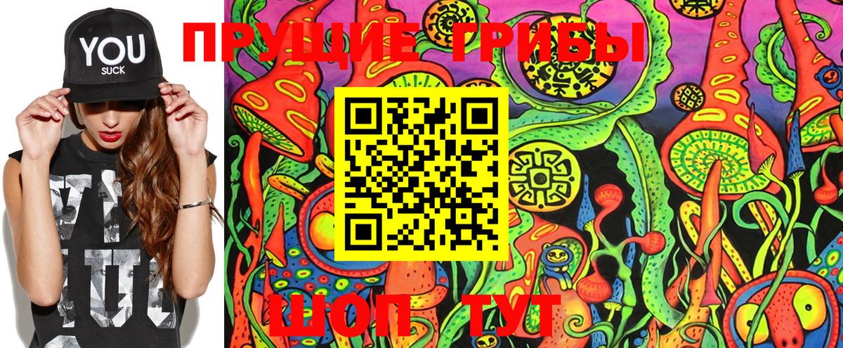 Мелеуз  Галлюциногенные грибы Psilocybine cubensis  Вход с VPN 